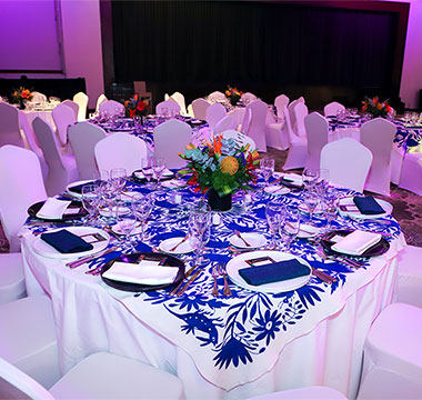 plenaria bmainnercircle