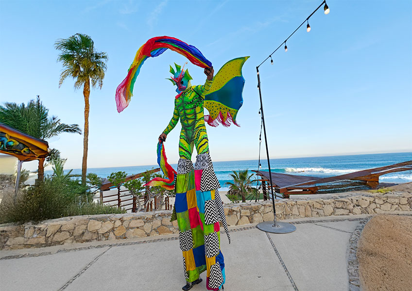 zanqueros en Los Cabos